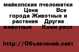  майкопские пчеломатки F-1  › Цена ­ 800 - Все города Животные и растения » Другие животные   . Коми респ.